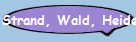 Strand, Wald, Heide