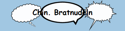 Chin. Bratnudeln
